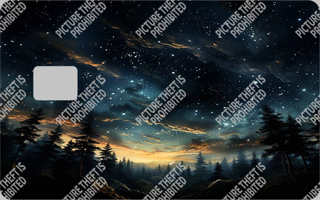 Bank  Card Sticker-BC-2253